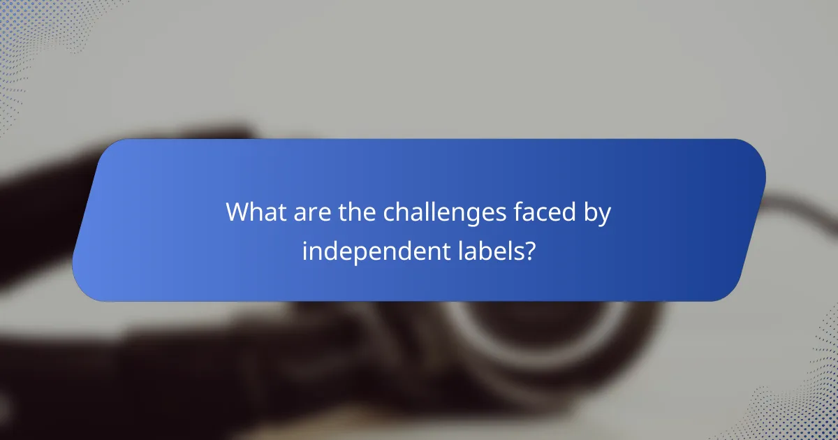 What are the challenges faced by independent labels?